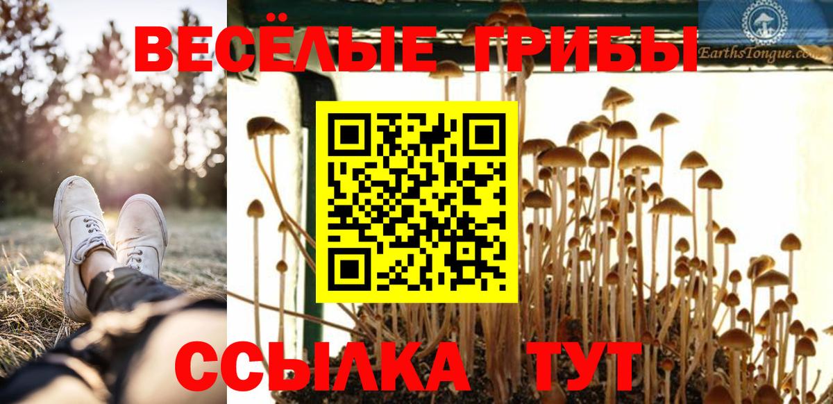 Галлюциногенные грибы Psilocybine cubensis Реутов