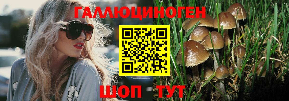 Реутов  Псилоцибиновые грибы ЛСД  Вход с VPN  Псилоцибиновые грибы GOLDEN TEACHER 
